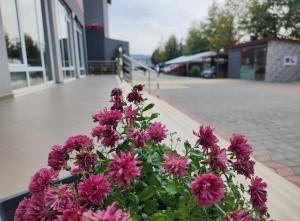 Kompleksi CFN ALBANIA