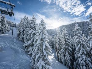 Studio cosy avec balcon, à 50m des pistes, 4 pers, au pied des commerces - FR-1-398-628