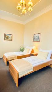 Double or Twin Room room in Penzion Černý Kůň