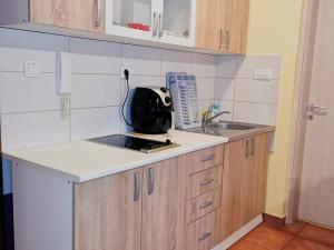 Apartman Snezanka Kopaonik