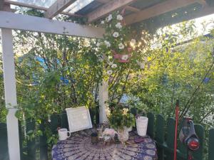 Shannon Estuary Glamping Budget-Sustainable-Biodiversity Habitat--Rustic-Countryside Holiday Accommodation