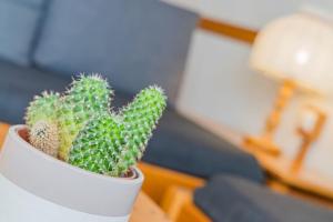 Atemberaubende Aussicht, direkter Pistenzugang