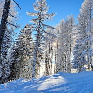 Atemberaubende Aussicht, direkter Pistenzugang