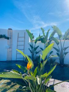 Casa Avellana