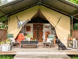 Black Pig Retreats Luxury Glamping - 吉林汉姆