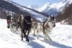 B&B / Chambres d'hotes Le Chalet Viso Auberge gite : photos des chambres