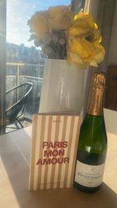 Fabulous big Studio with balcon Arc of Triumph