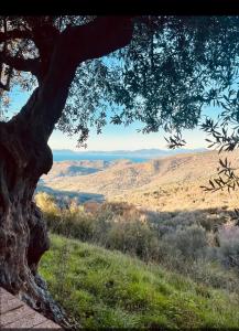 La Scienza Nuova