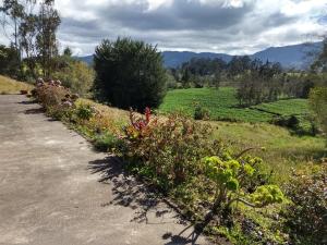 CASA LA KOCHA, Cabin, Hostal en la Laguna de la Cocha