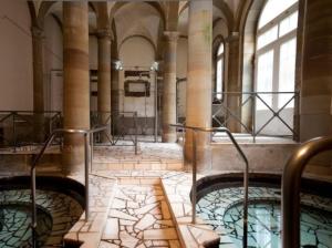 Maisons de vacances Gite Spa 