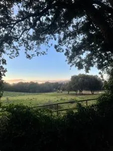 Maison de campagne entre Ajaccio et Porticcio - 埃希卡-苏埃雷拉