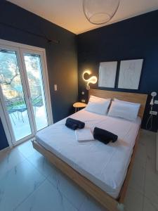 Alexander apartments