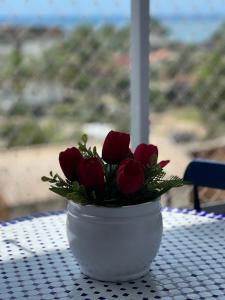 Apê Serenidade nas Toninhas - Ubatuba