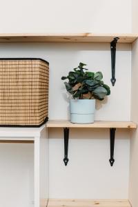 Stylish Central Apartment - 5 mins to Old Town