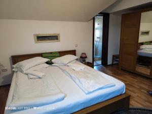 Pensiunea Buon Gusto Sibiu-motorcyle friendly,city center