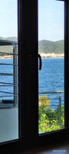 ΖΩΗ ΣΤΟ ΚΥΜΑ- Life on the wave