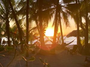 Fenix Hotel - On the Beach