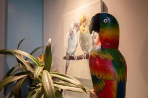 Apartament u Olechny 5