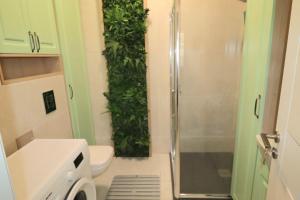 Studio Vista - Endless Summer Mamaia Nord Apartaments