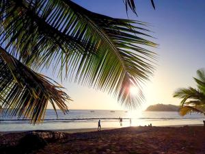 Fenix Hotel - On the Beach