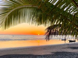 Fenix Hotel - On the Beach