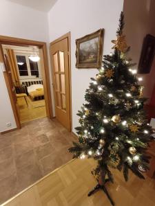 Apartamenty Centrum dwupoziomowy 120 metrów