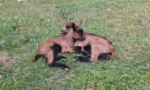 La finestra sulla valle