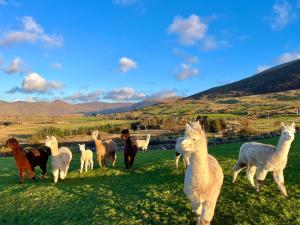 Hidden Hills Waterville - Private Farmhouse