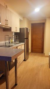 dpto x día chillan 1411