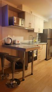 dpto x día chillan 1411