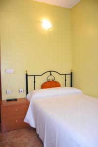 Single Room room in Hostal Infante