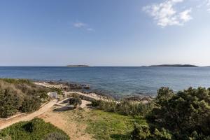 Apartments by the sea Milna, Vis - 8946