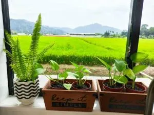 Mai Paddy Cottage, Balik Pulau - Gertak Sanggul