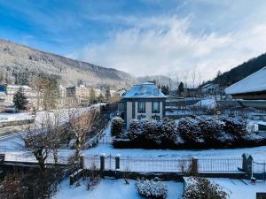 Charmant T3 au Mont-Dore, jusquà 4 pers, wifi, vue Puy Gros - FR-1-608-265