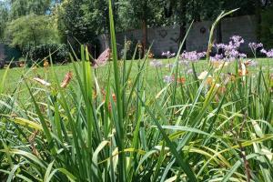 Comodidad y espacio para relax