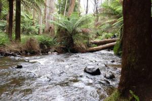 Tiny house at Gilderoy Valley Views