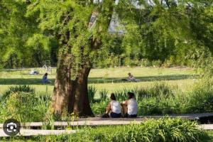 Appartements Studio 2 Joli studio neuf veranda d ete bords de Marne 5 km paris : photos des chambres