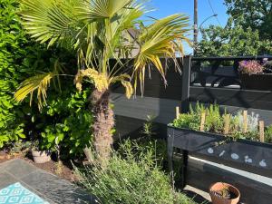 Appartements Studio 2 Joli studio neuf veranda d ete bords de Marne 5 km paris : photos des chambres