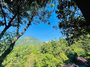 White Villa Kitulgala