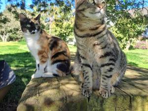 The Palms Albertinia