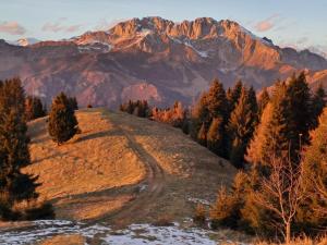 181 - Casa Arcobaleno tra le Alpi, Piste da sci a 15 minuti
