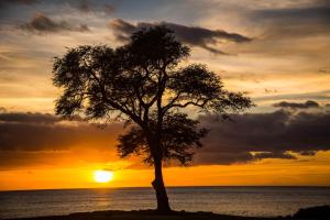 Ko Olina Beach Villas O1402