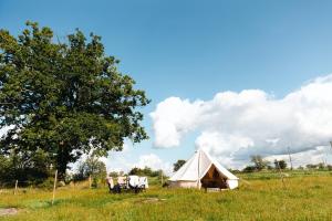 Glamping in Småland