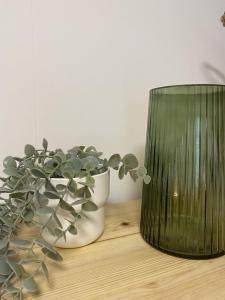 RBR 711 - Beach Resort Kamperland