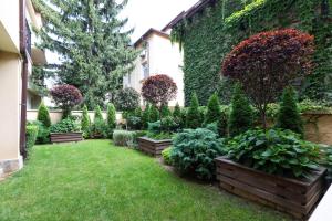 Didis Central Designer Apartments