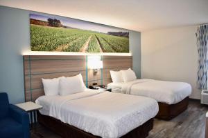 Queen Room with Two Queen Beds - Non-Smoking room in Days Inn by Wyndham Vidalia