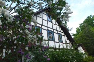 Ferienwohnung Am Walde