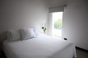 Neguetxea Boutique Guest House