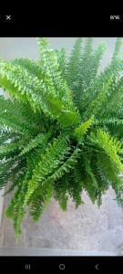 Bella vista, Punto central del turismo de san gil.