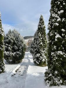 Вілла ЮРАН Східниця